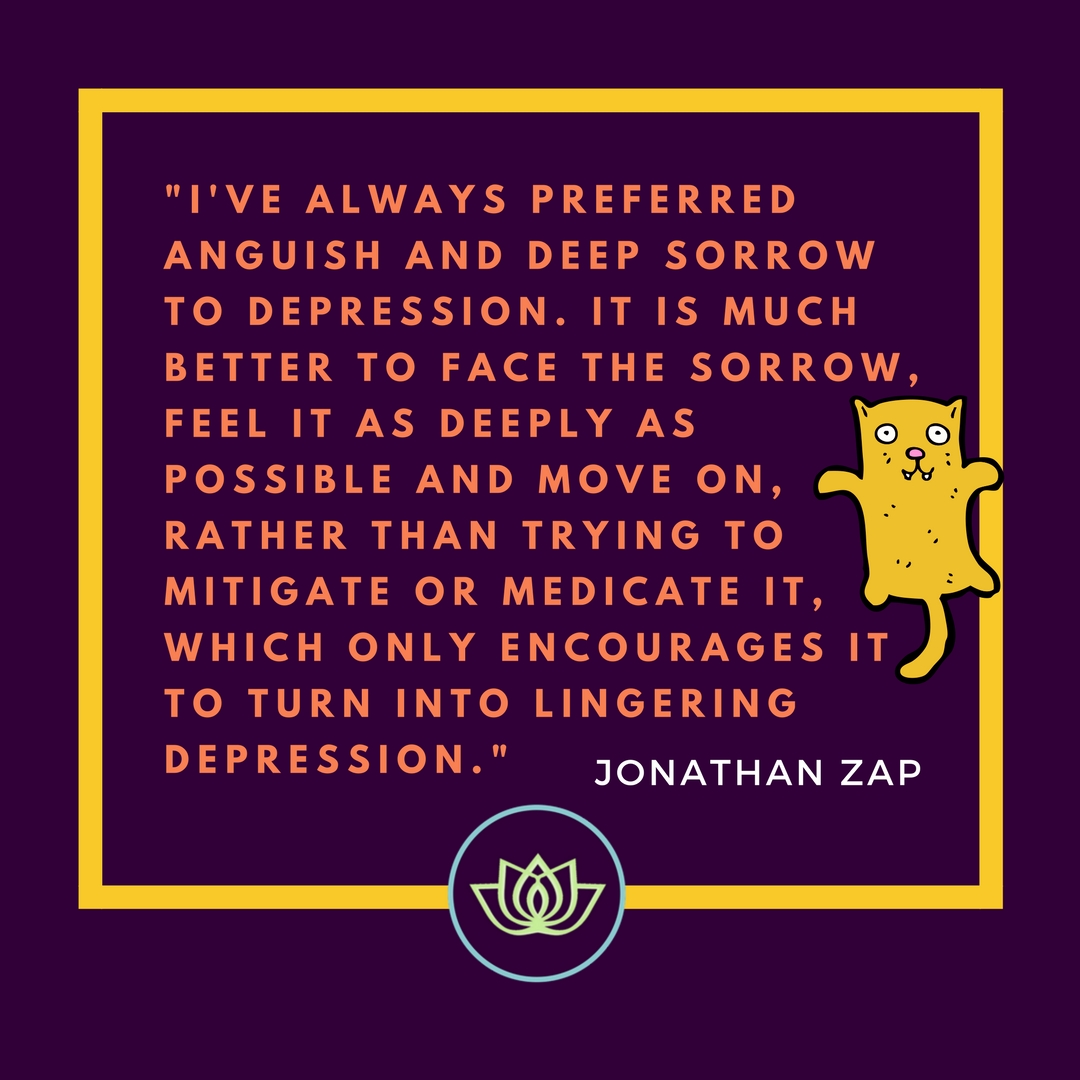 I've always preferred deep sorrow to  depression... - Jonathan Zap quote