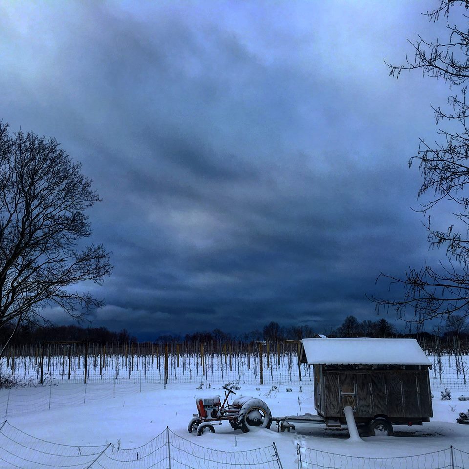 Long Island Winter Tractor and Shed by Jennifer Murray