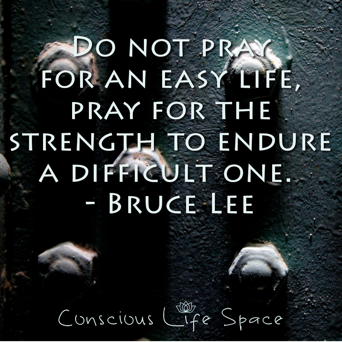 Do not pray for an easy life, pray for the strength to endure a difficul one. - Bruce Lee