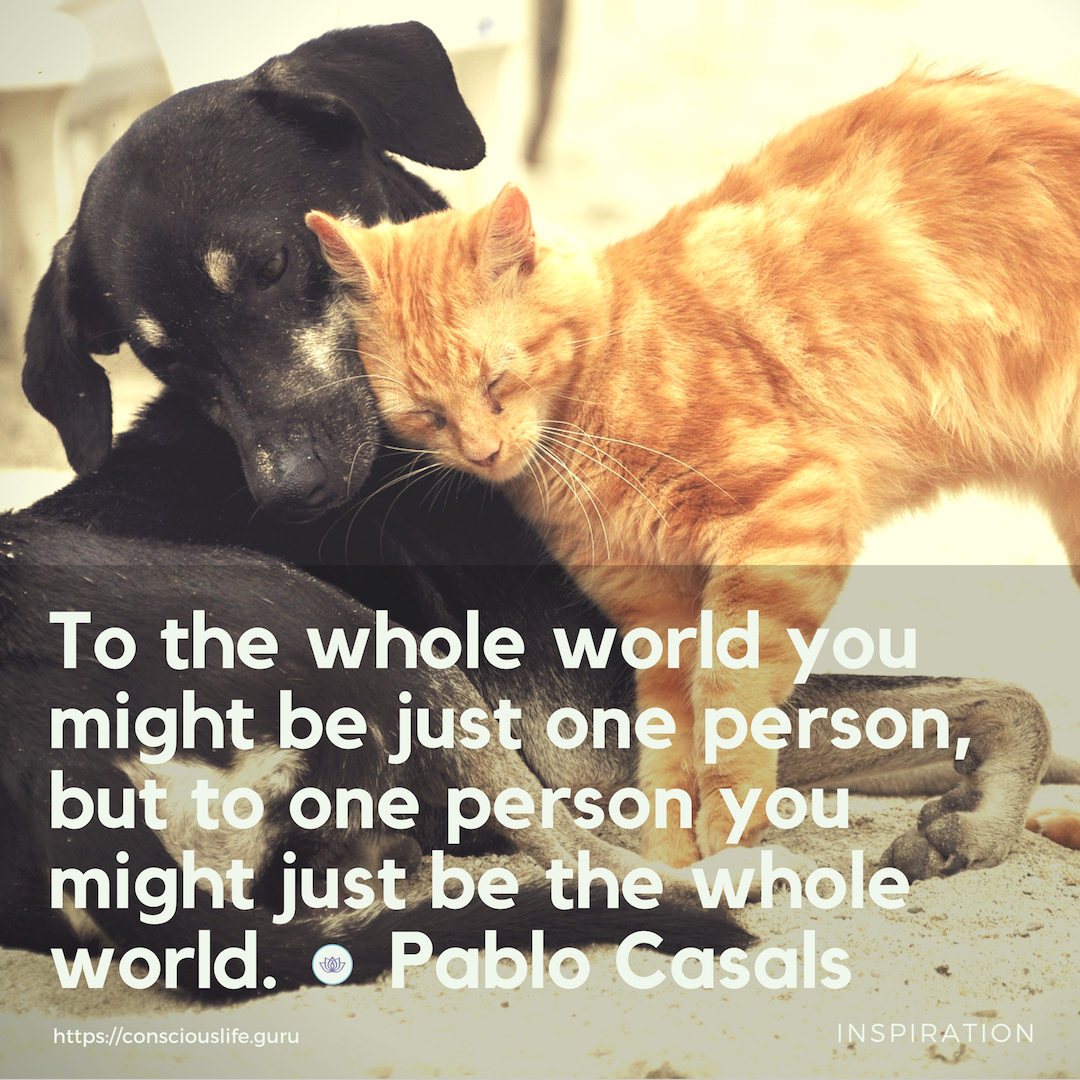 Quote - To the whole world you might be just one person, but to one person you might just be the whole world. - Pablo Casals