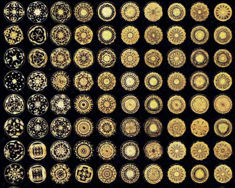 cymatic patterns