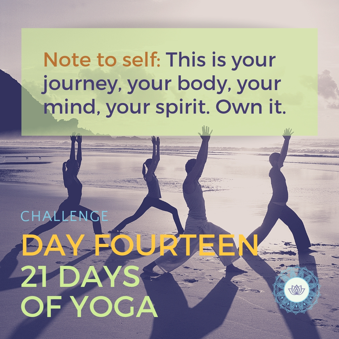 Yoga Challenge Conscious Life Space