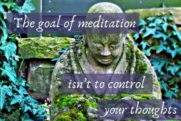 The goal of meditation isn't to control your thoughts, it is to stop letting them control you.