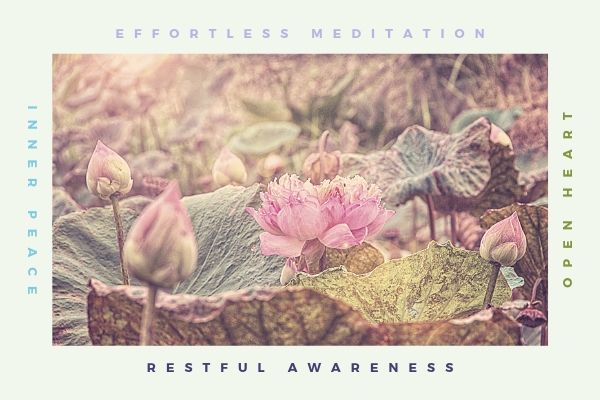 The Mindful Soul Center: Meditation Lotus Effortless Meditation Course Banner