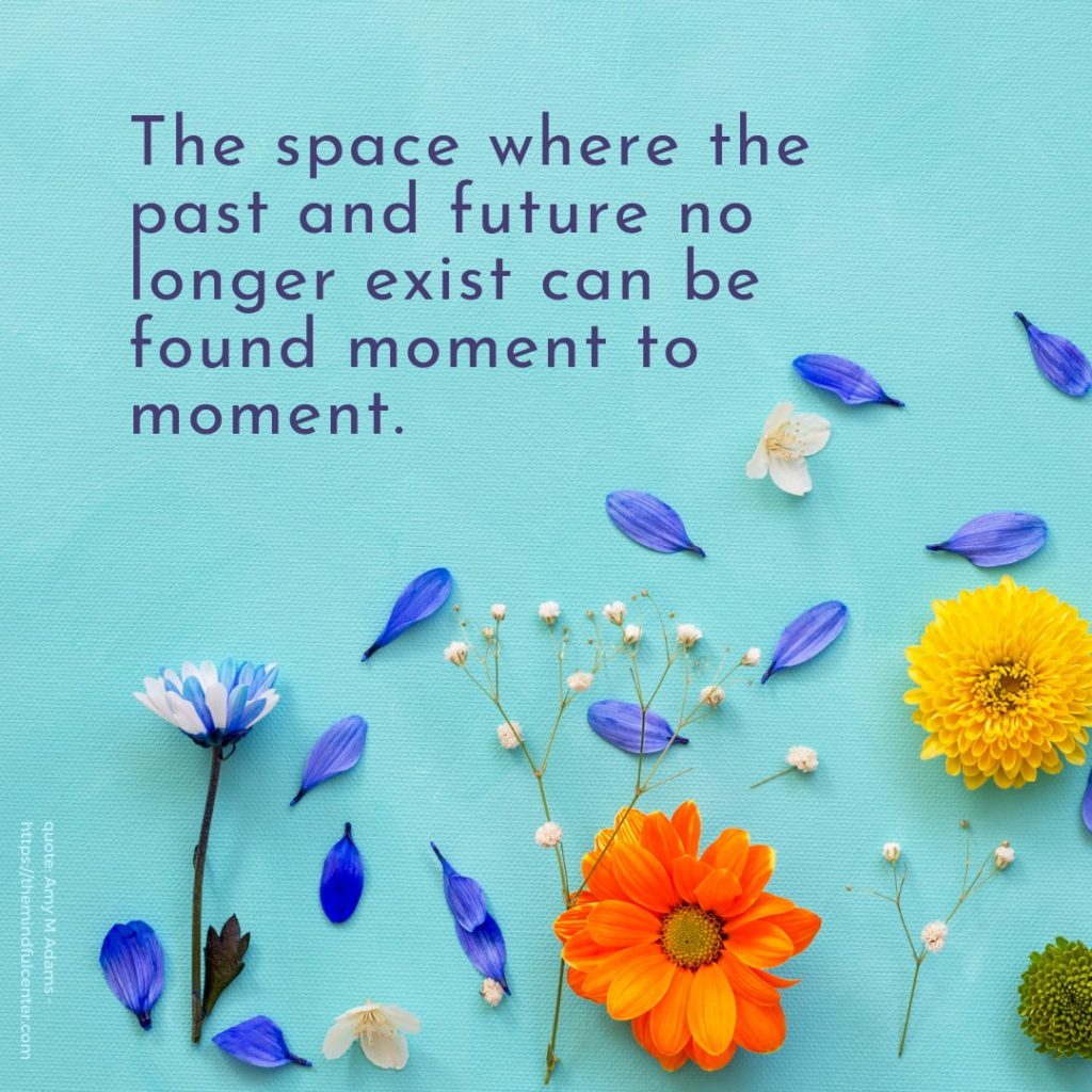 The space where the past and future no longer exist can be found moment to moment. - Amy Adams Mindful Soul Center