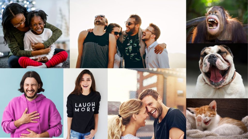 collage image of people and animals laughing