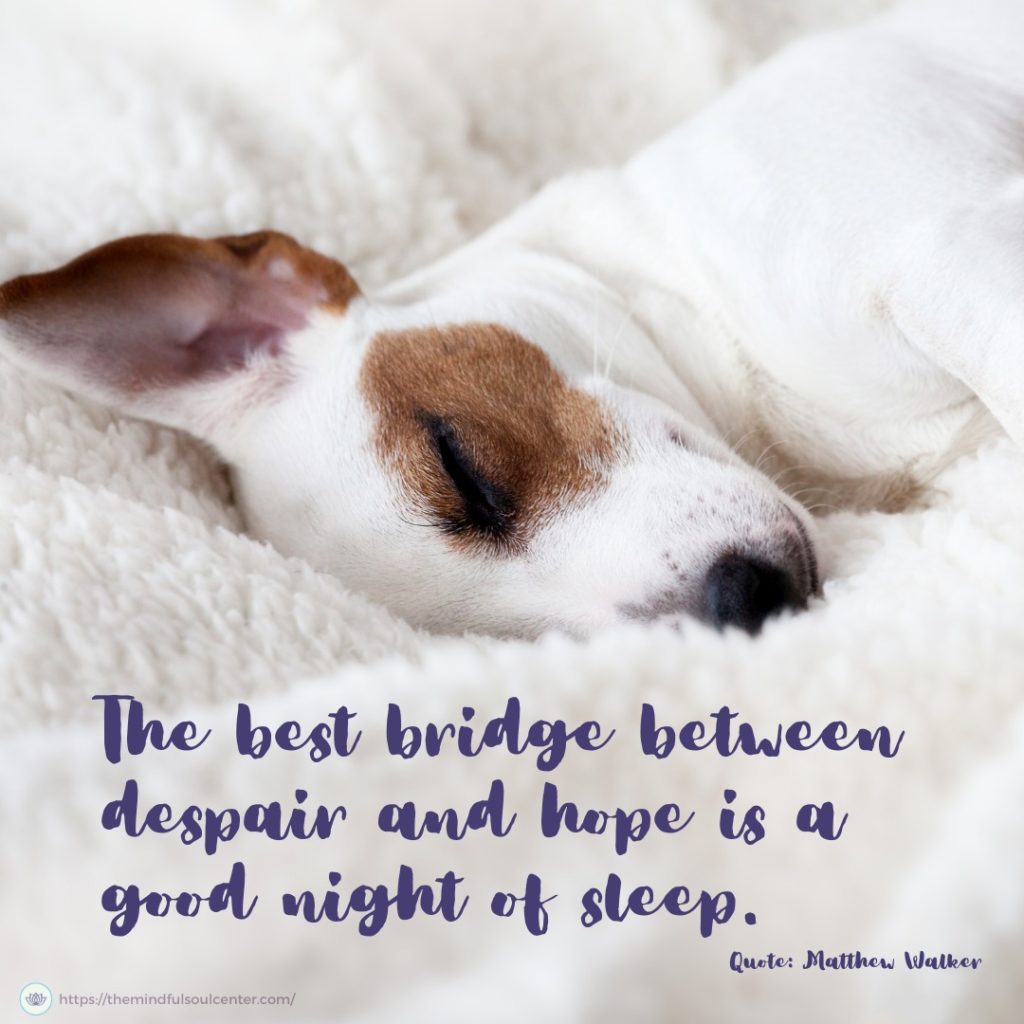 sleep quote - the best bridge between despair and hope is a good night of sleep