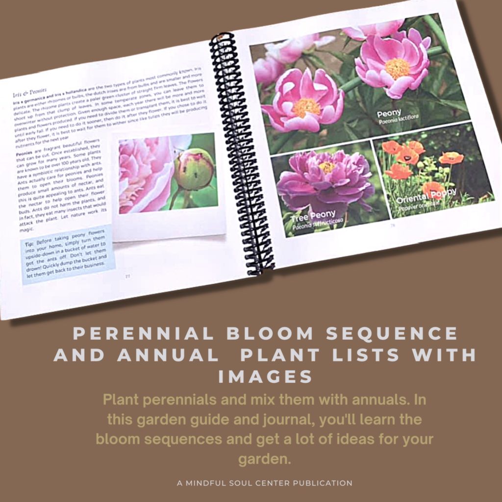 preview of the Spiral-bound Garden book and planner - A Garden Planner: Dream it, Build it, Watch it Grow written and designed by Amy Adams, the Mindful Soul Center