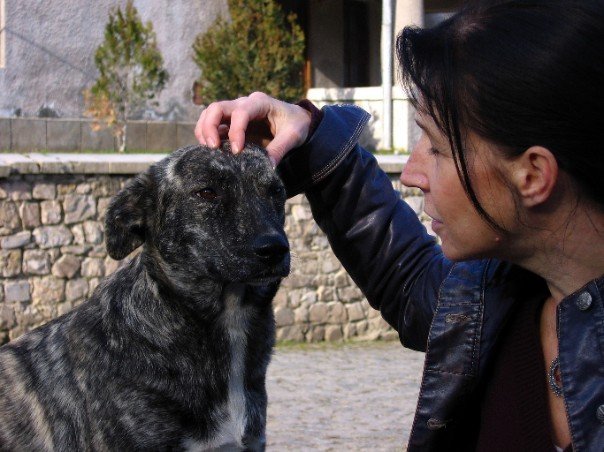 Amy Adams, Mindful Soul Center photo of Amy with street dog in Hunedoara, Romania